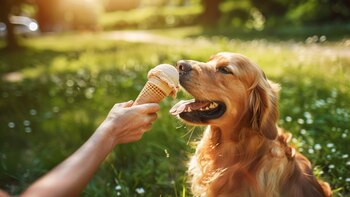 Perro Fest 2024: dónde será