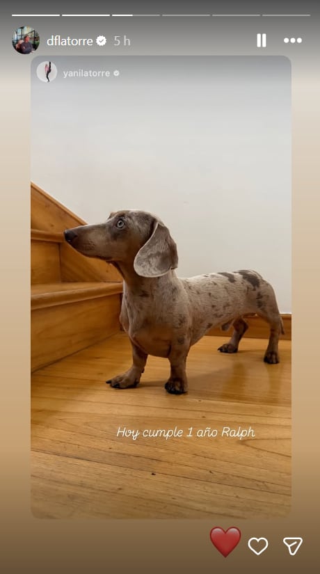 Ralph fue adoptado como un nuevo integrante para la familia Latorre y llegó como compañía para Polo, siendo presentado originalmente por Diego Latorre en sus redes sociales