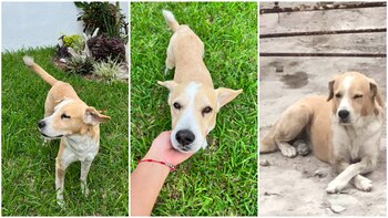 (Facebook/Minnie Gaytán-Sweet Galbal)