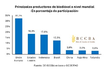Un informe elaborado por la