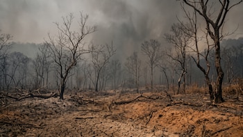 “Las consecuencias ya son devastadoras”: un informe de la ONU advierte sobre el calentamiento que el mundo podría alcanzar este siglo