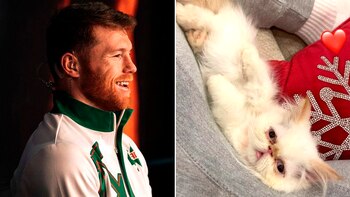 La exagerada cantidad que habría