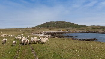 La población de Bardsey Island