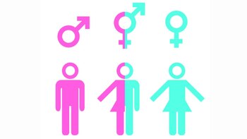 La diversidad de género en