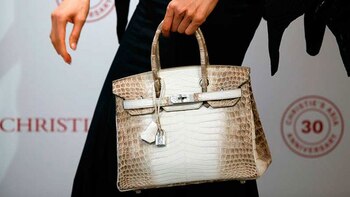 El modelo Diamond Himalaya Niloticus