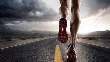 Este cereal es la fuente