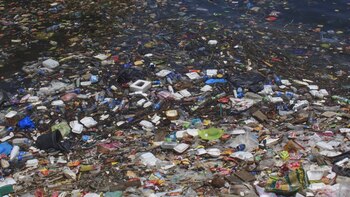 Aún no se tiene real