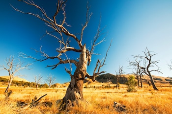 El pasado octubre un experto de la NASA ya avanzó que 2018 sería con probabilidad el cuarto año más caluroso de los registrados hasta la fecha (Foto: archivo)