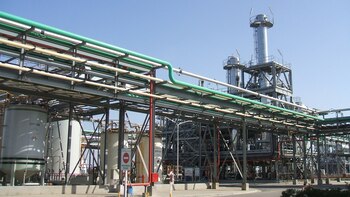 La producción de energías renovables aparecen como las adelantadas en la reactivación general (infobae)