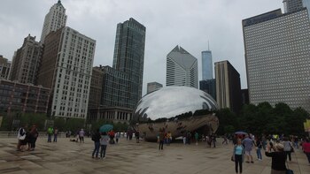 La economía y la violencia