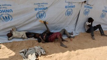 La falta de alimentos causa