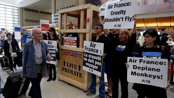 Los trabajadores de Air France