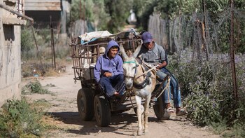 A nivel mundial, son más