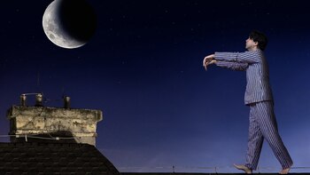 El sexsomnio es un tipo