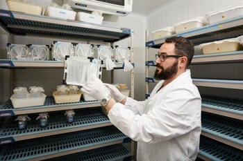 El científico Andrea Crisanti logró