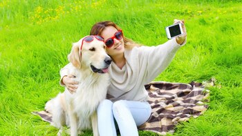 Los perros aprenden muchas cosas