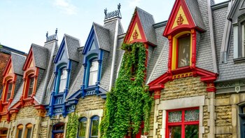 Montreal es una especie de