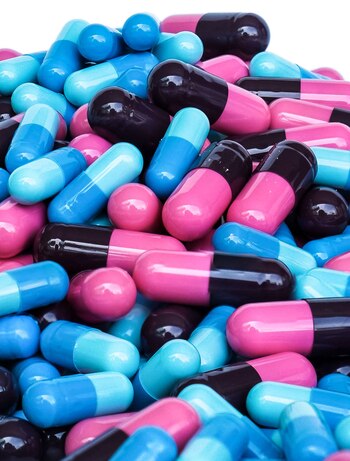 En un año las visitas