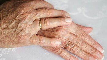 En 20 años, se duplicó