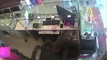 Video: el insólito robo de un mono a una joyería en India
