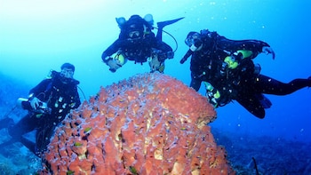 El buceo y otras actividades