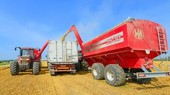 El productor recibe el 25,2% del precio que paga el consumidor