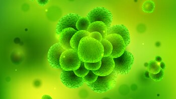 Para los especialistas, el origen