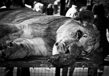 “Tras las rejas” es el