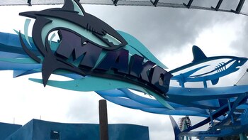 Mako es la nueva gran