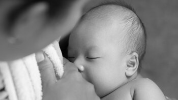 El vínculo que se genera