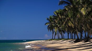 El estado brasileño de Alagoas