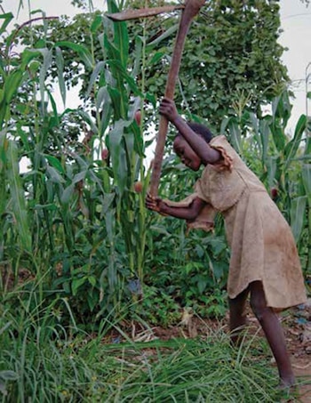 El tráfico de personas es