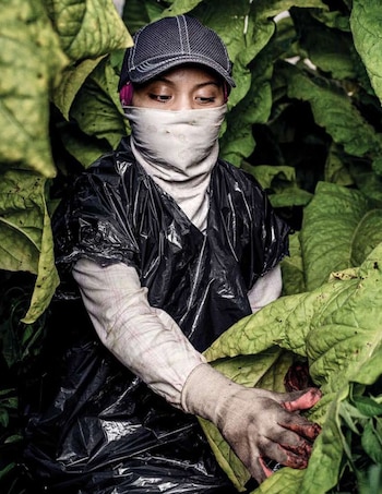 Venezuela, Irán, Siria, Rusia y