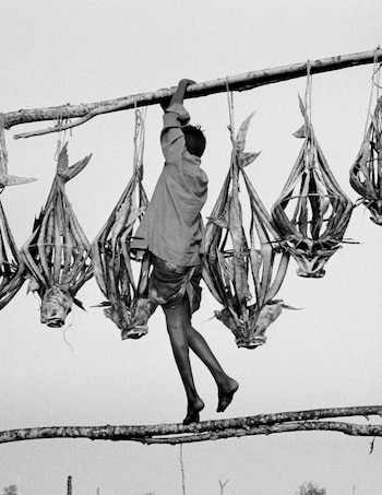 La explotación laboral es otro