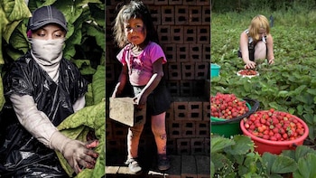 El Departamento de Estado de