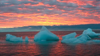 Se espera que para el