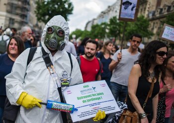 Protesta contra Monsanto, en Francia (AP)