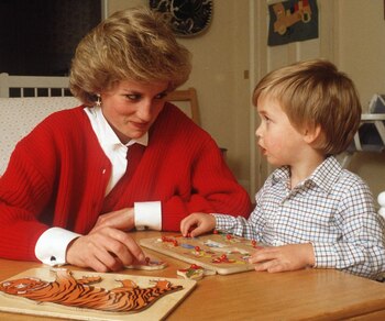 Diana sobrevoló de cerca la