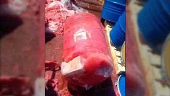 Fue clave el aporte de un perro especializado en la detección de drogas