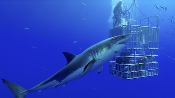 Para una experiencia más cercana