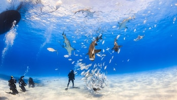 Las personas que arriban para