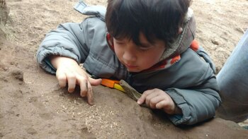 El hallazgo de los huesos