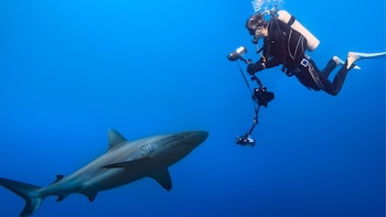 Una experiencia única, solo para