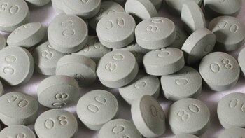 En 2007 el gobierno de