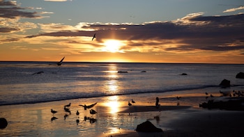 La protección de los acantilados