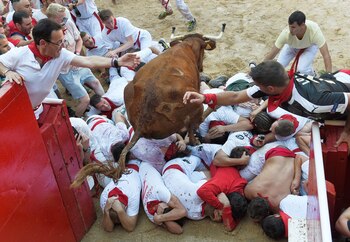El festival no escapa de la polémica: las asociaciones protectoras de animales cuestionan el uso de los animales para diversión (REUTERS)