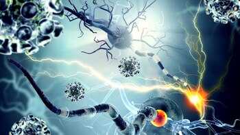 Las tasas de demencia senil