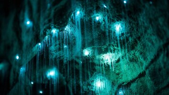 Una de las mayores atracciones