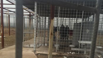 (www.fiscales.gob.ar)