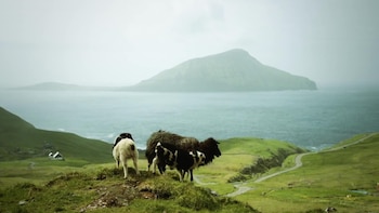 En las Islas Faroe hay